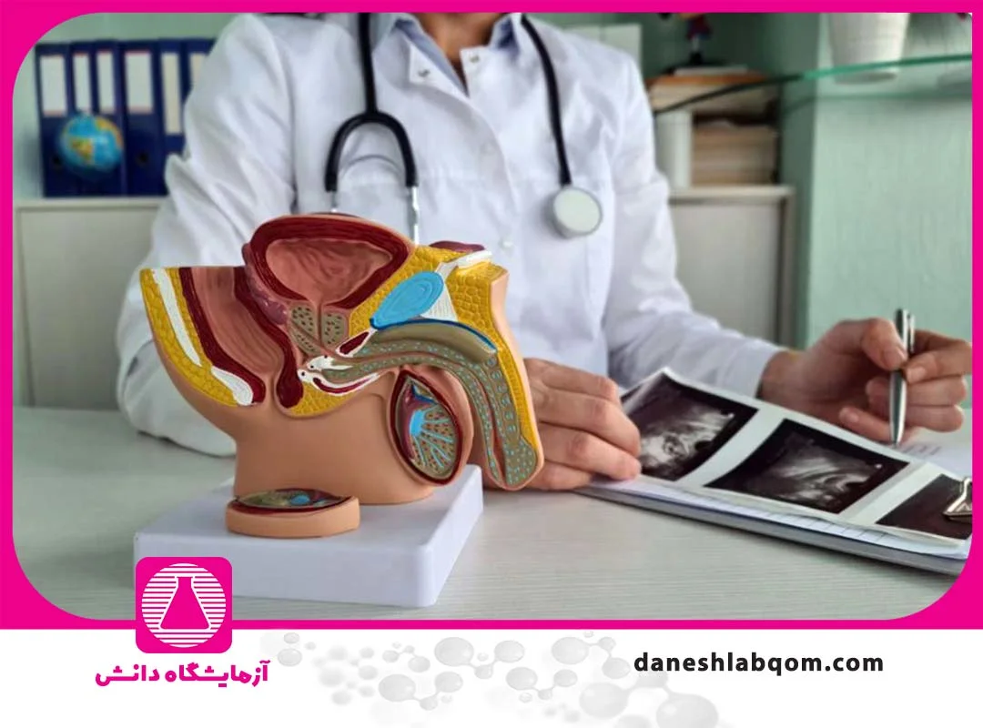 همه چیز درباره آزمایش اسپرم و کیفیت اسپرم مردان