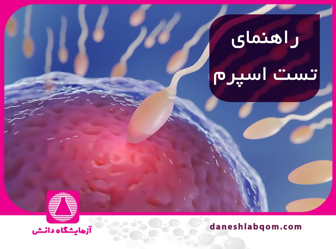 همه چیز درباره آزمایش اسپرم و کیفیت اسپرم مردان